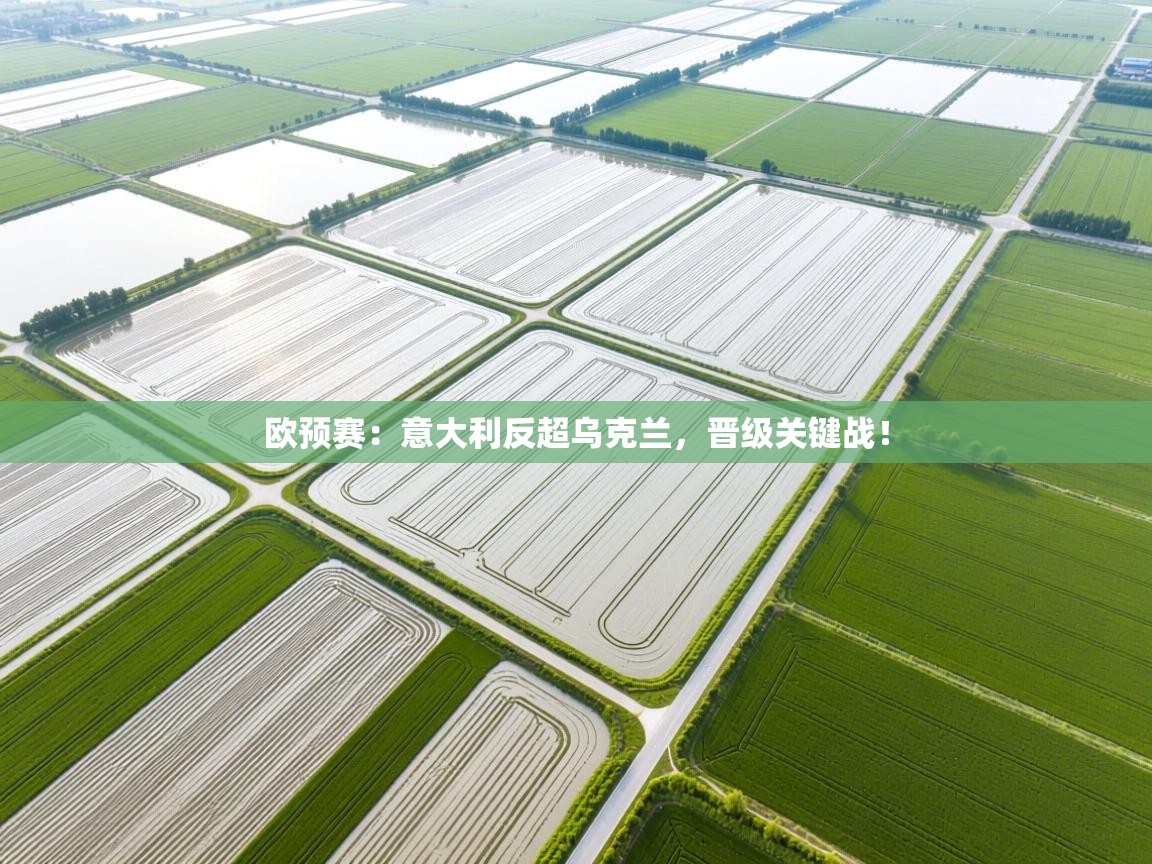 开云体育视频直播低延迟-欧预赛：意大利反超乌克兰，晋级关键战！