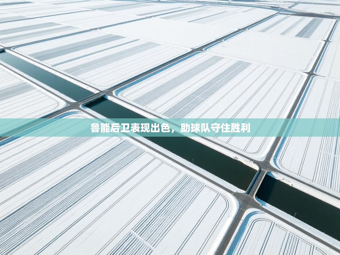 开云体育app评价-鲁能后卫表现出色，助球队守住胜利  第2张