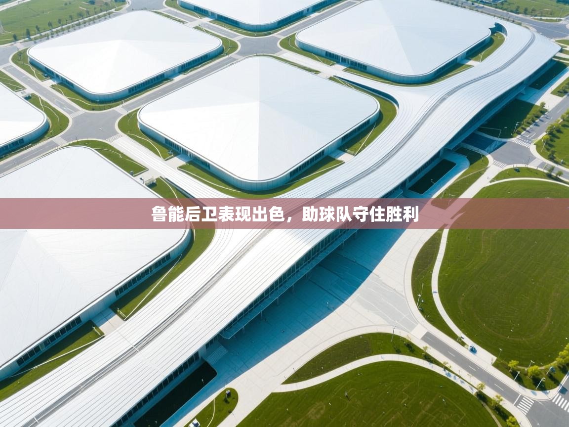 开云体育app评价-鲁能后卫表现出色，助球队守住胜利  第3张