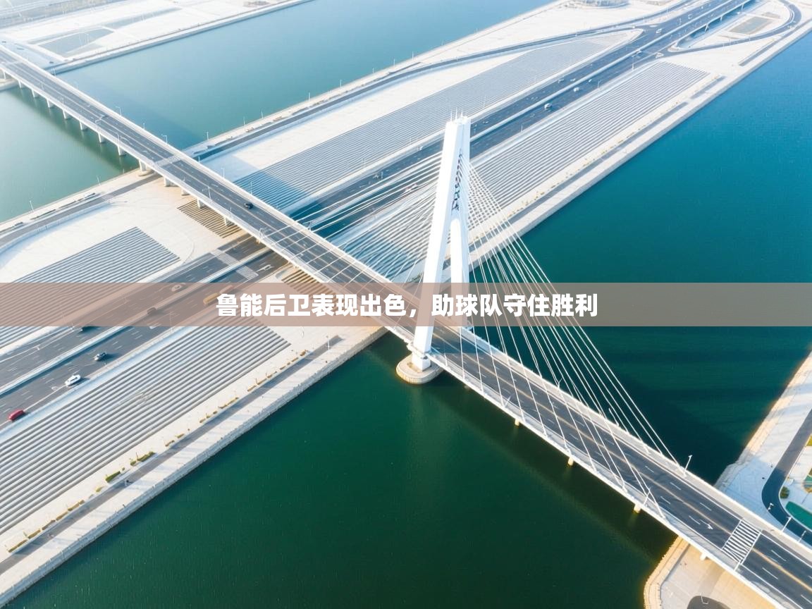 开云体育app评价-鲁能后卫表现出色，助球队守住胜利  第4张