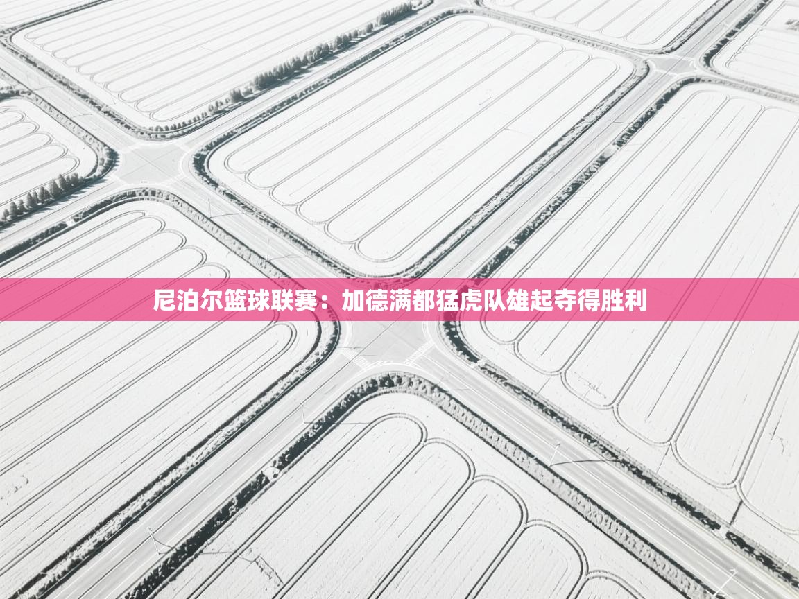 开云体育联赛专题页-尼泊尔篮球联赛：加德满都猛虎队雄起夺得胜利