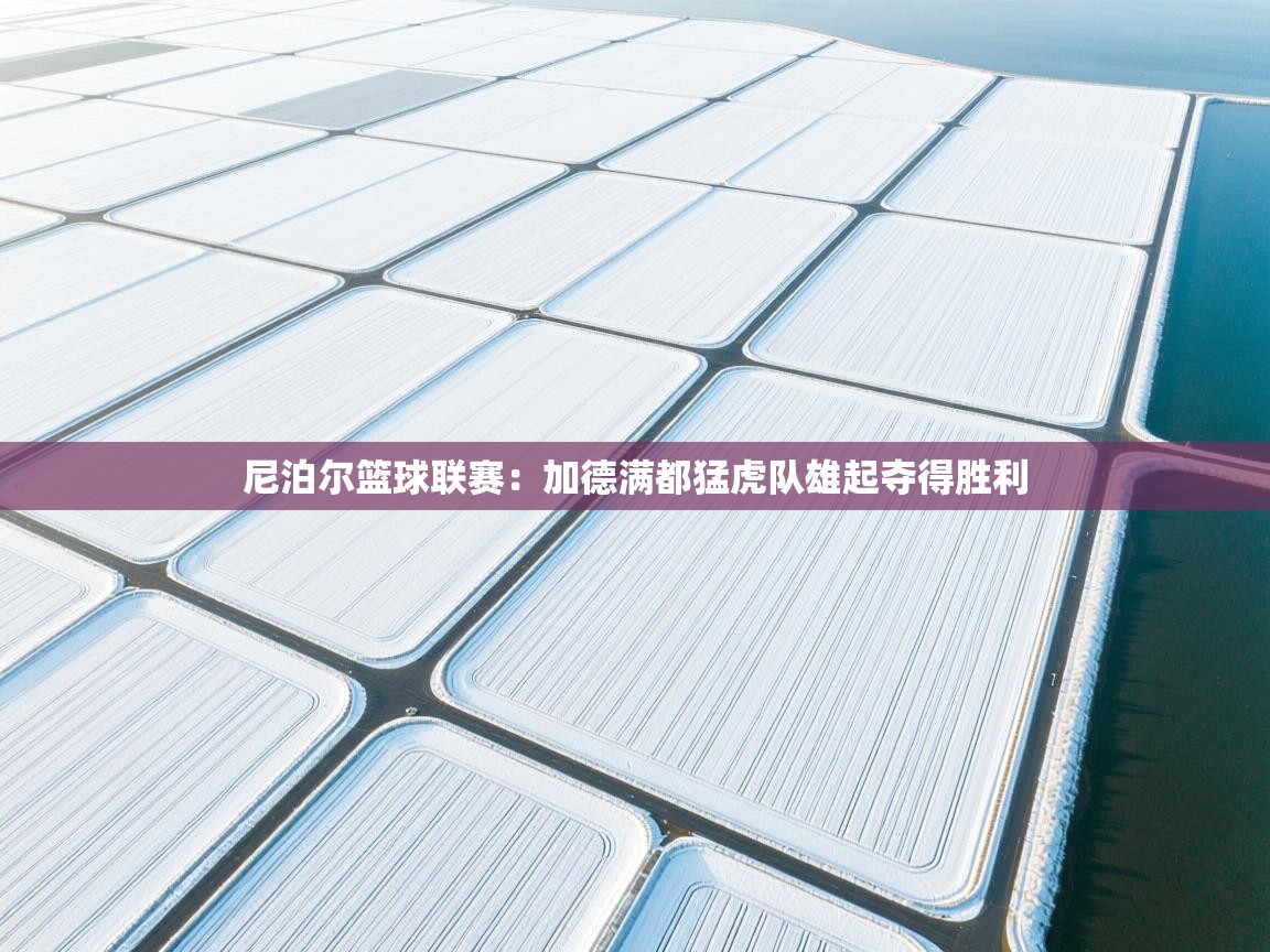 开云体育联赛专题页-尼泊尔篮球联赛：加德满都猛虎队雄起夺得胜利