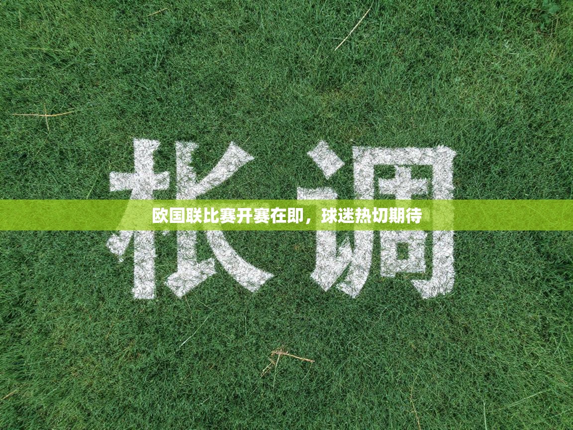 -欧国联比赛开赛在即，球迷热切期待  第3张