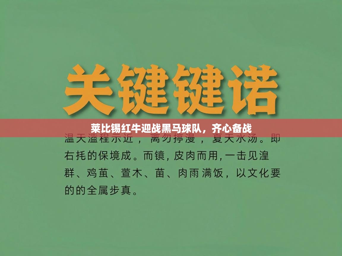 开云赛事-莱比锡红牛迎战黑马球队，齐心备战
