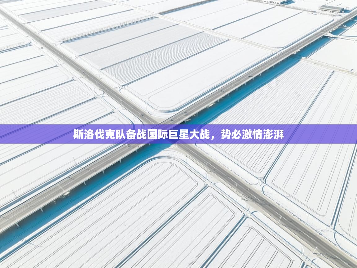 kaiyun体育入口-斯洛伐克队备战国际巨星大战，势必激情澎湃