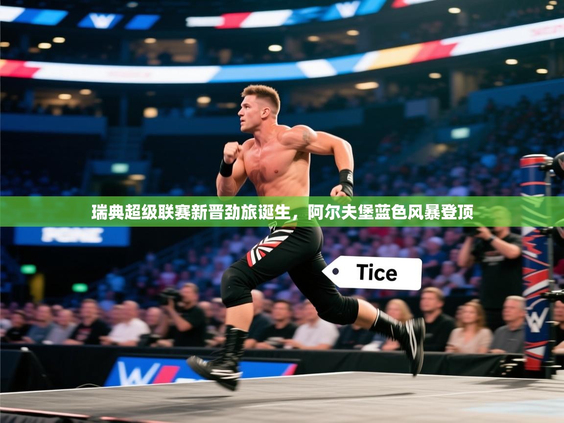 开云体育安卓APK下载-瑞典超级联赛新晋劲旅诞生，阿尔夫堡蓝色风暴登顶